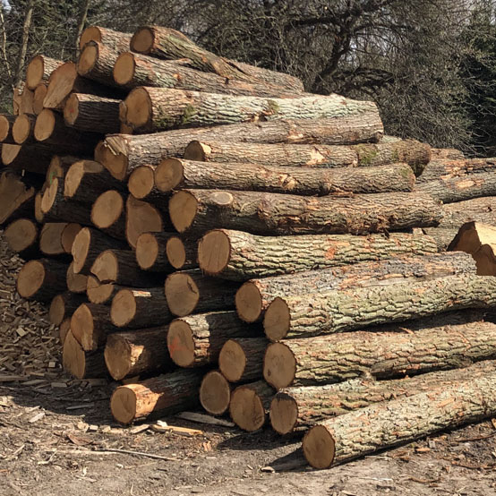 Sagwan Wood sawn timber with fine natural grain patterns