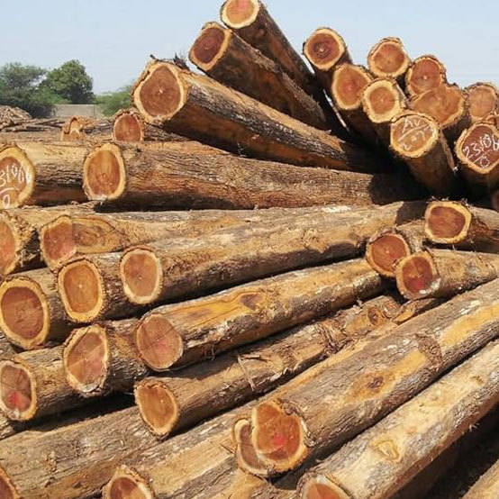 African Teak Wood showcasing exceptional durability and stunning appearance